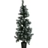 Kerstboom Fiss Frosted Groen 120 cm