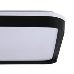 Plafondlamp Yed Zwart