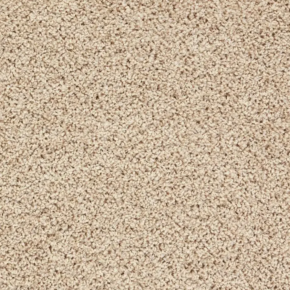 Staal Tapijt Anamosa Beige