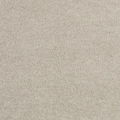 Staal Tapijt Canora Beige