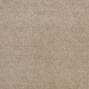 Staal Tapijt Chard Beige