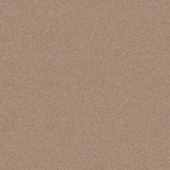 Staal Tapijt Cornell Beige