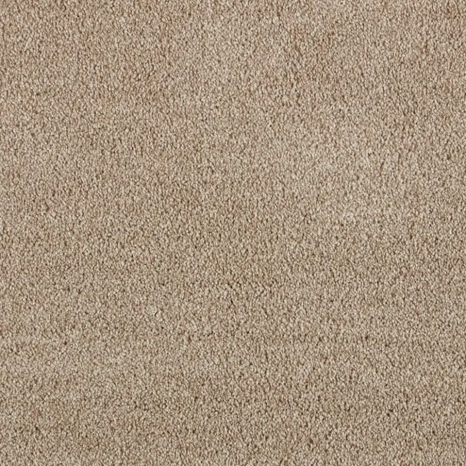 Tapijt Alamance Taupe