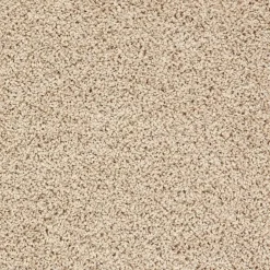Tapijt Anamosa Beige