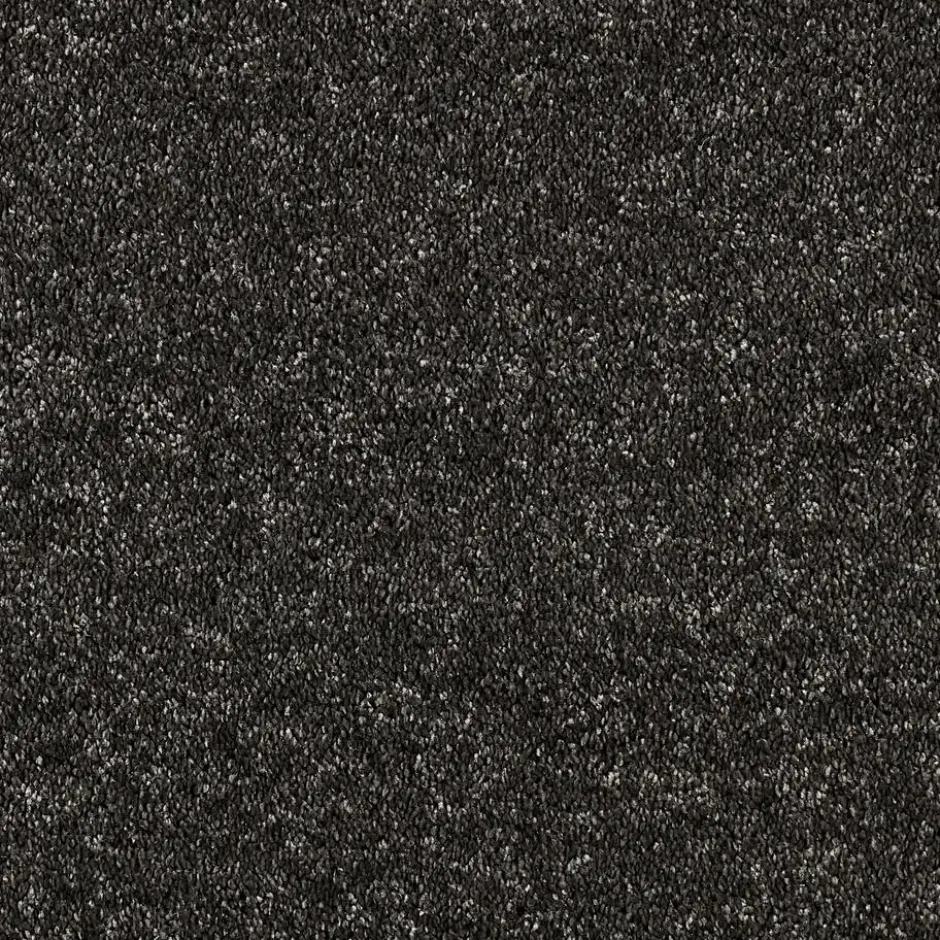 Tapijt Canora Antraciet