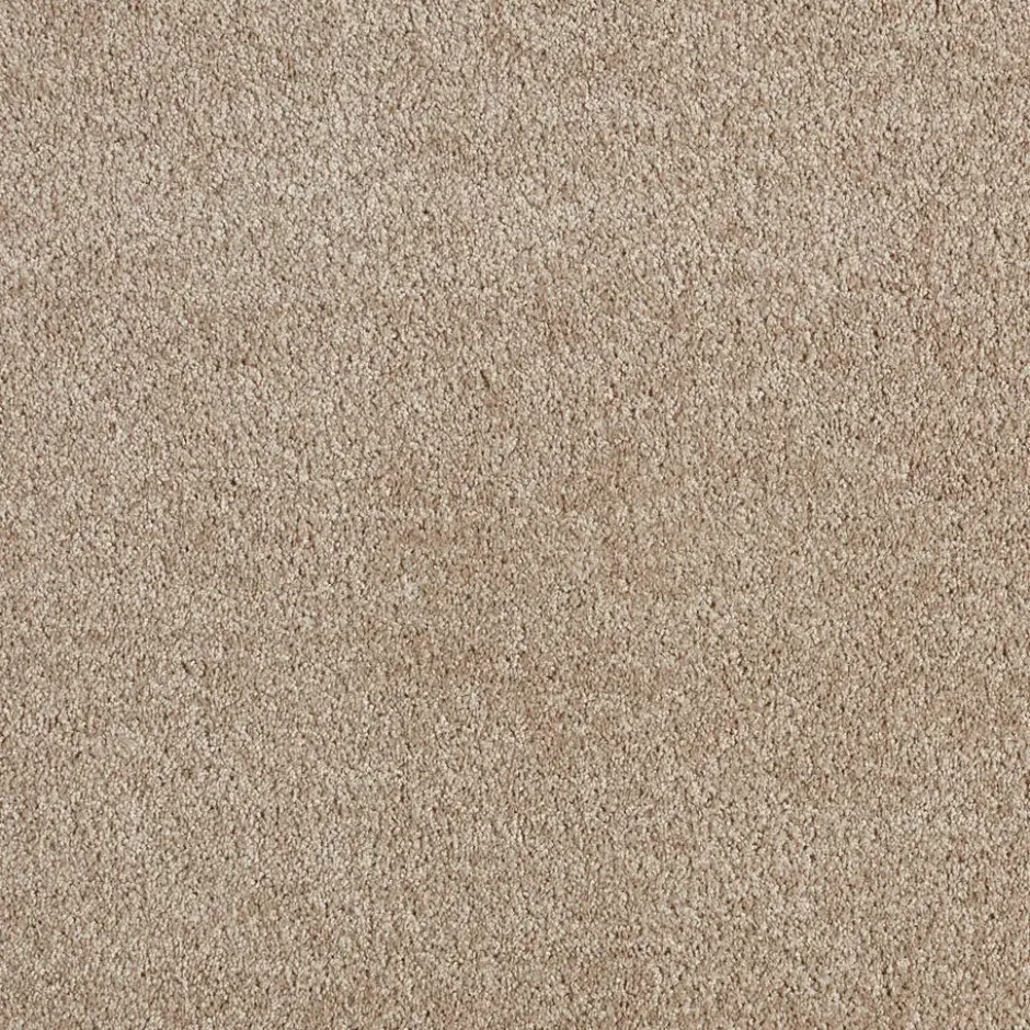 Tapijt Chard Beige